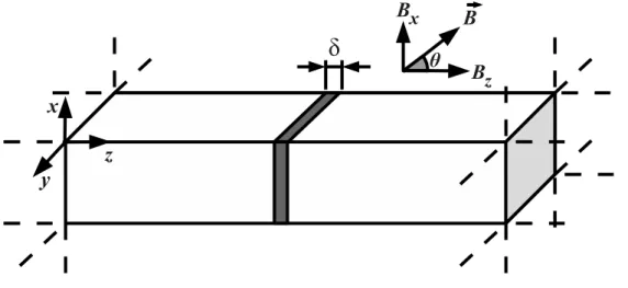 Figura 2.1: GE2D na presenc¸a de um campo magn´etico inclinado.