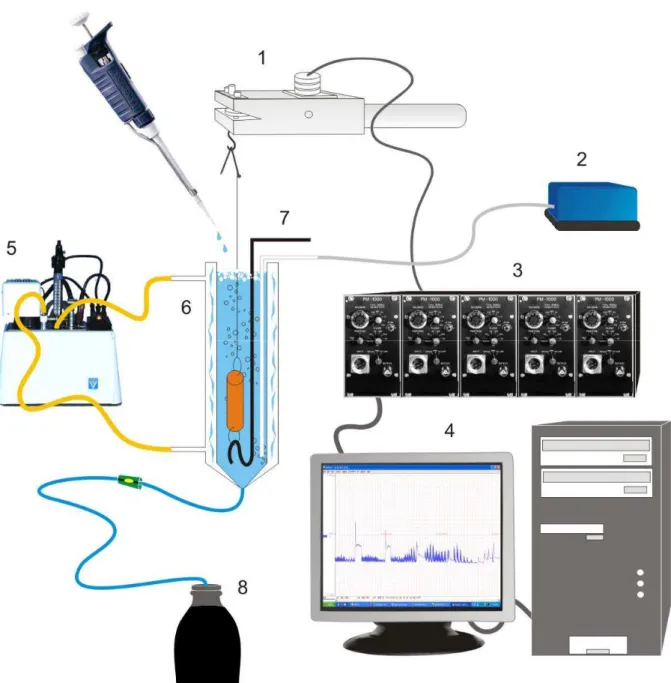 Figura 6 -  Esquema simplificado dos equipamentos utilizados nos experimentos de  contratilidade in vitro