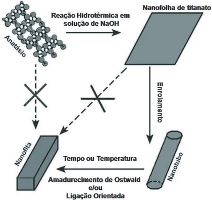 Figura 4: Modelo do mecanismo microsc´opico de forma¸c˜ao dos nanotubos e sua transforma¸c˜ao em nanofitas de titanato segundo Gao e colaboradores (Figura adaptada