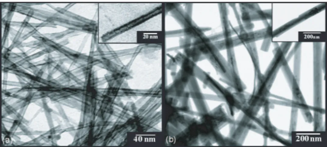 Figura 9: Imagens de MET das amostras de (a) nanotubos (Na-NTTi) e (b) nanofitas de titanato (Na-NRTi).