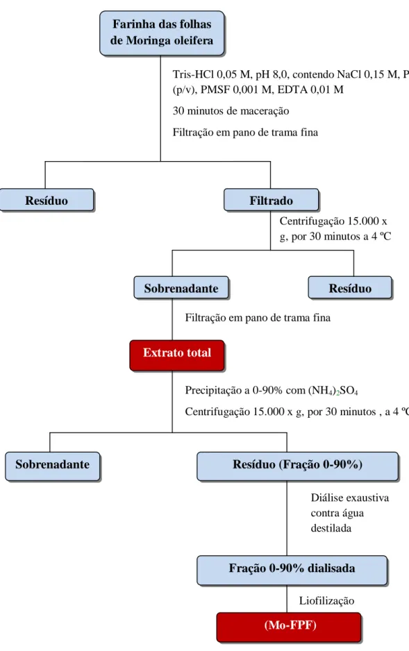 FIGURA 4  –  Fluxograma de obtenção do extrato total e da fração proteica 0-90% ( Mo -FPF)  a partir de folhas de  Moringa oleifera 