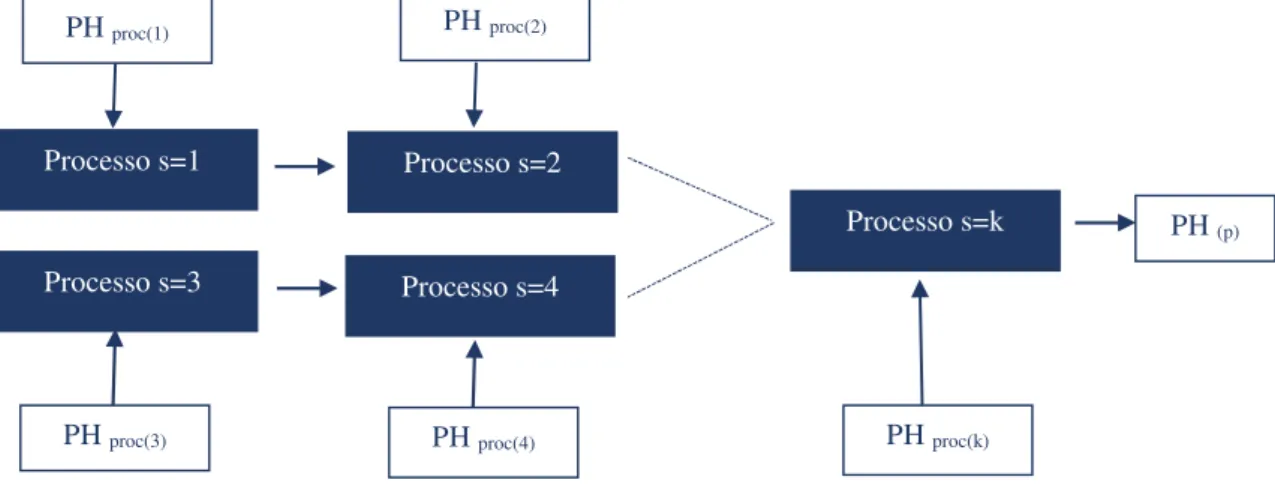 Figura 7 - Esquema do sistema de produção do produto ‘p’ em ‘k’ passos de processo 