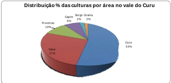 Figura  4.7  –  Distribuição  percentual  das  áreas  irrigadas  por  tipo  de  cultura