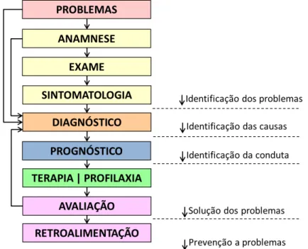 Figura 5 – Delineamento resumido do método hierarquizado para supressão de patologias em SPHS
