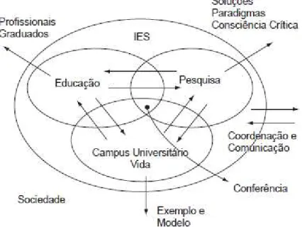 Figura  5  -  O  papel  da  universidade  na  sociedade,  relativo  ao  desenvolvimento  sustentável 