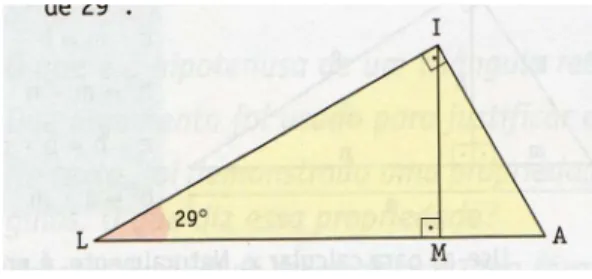 Figura 13: Imenes e Lellis 8ª série p.28