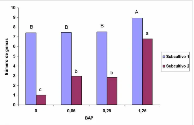 FIGURA 3  ─  Número médio de gemas (nós + ápices) de Moringa oleifera L., emitidos a  partir de ápices caulinares com diferentes concentrações de BAP µM em  cada subcultivo de 28 dias in vitro