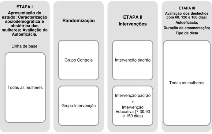 Figura  1  -  Representação  gráfica  das  etapas  de  coleta  de  dados.  Fortaleza-CE