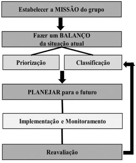 Figura 2  –  Fluxograma das etapas da Avaliação Empowerment 