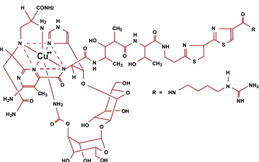 FIGURA 01 - Fórmula estrutural do antibiótico Zeocina ® . Um glicopolipeptídeo básico,  complexado ao íon cobre, solúvel em água e isolado de  Streptomyces verticillus