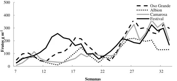 Figura  9.  Produtividade  semanal  de  frutos  de  quatro  cultivares  de  morangueiro  cultivado no solo