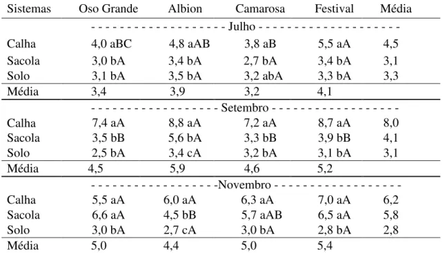 Tabela 15. Teores de Fósforo (g kg -1 ) nas folhas das cultivares de morangueiro em três  sistemas de cultivo e em três épocas de amostragem