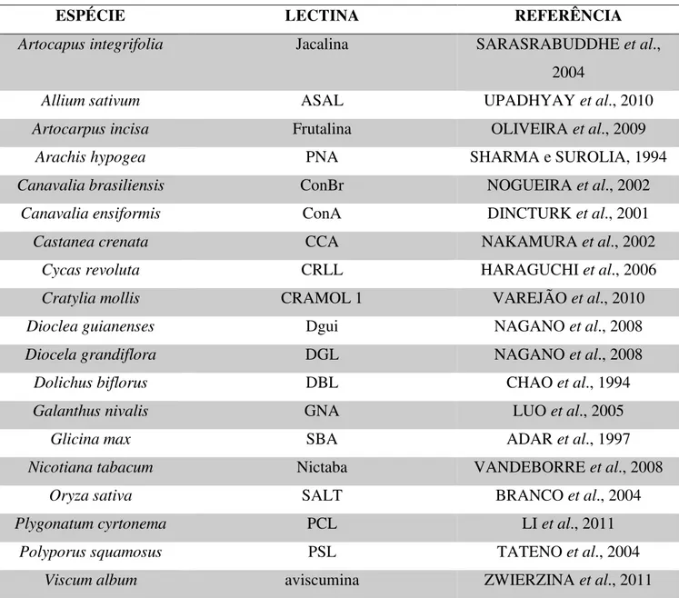 Tabela 1 – Lectinas de plantas produzidas em E. coli. 