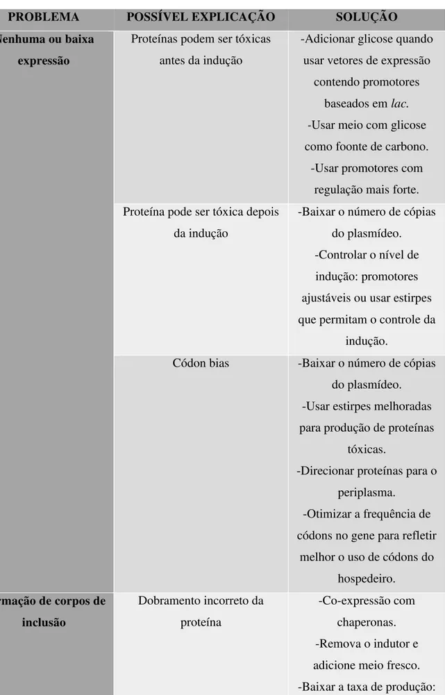 Tabela 2 – Estratégias para superar problemas comuns encontrados durante o processo de produção de proteínas  recombinantes em E