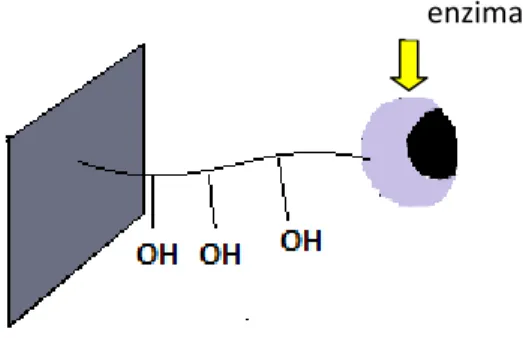 Figura  4-  Figura  da  ligação  covalente  unipontual  mostrando  a  pouca  estabilidade  da  enzima (Mateo et al., 2007)