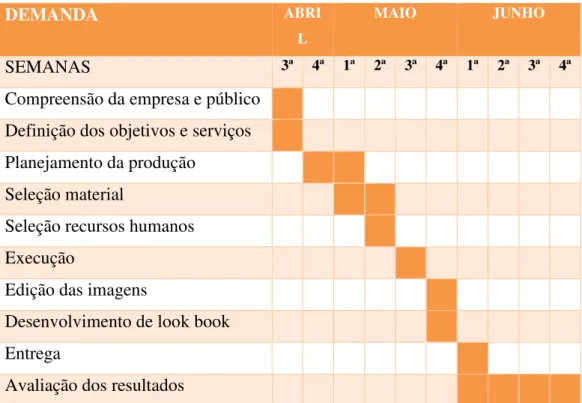 Tabela 2: Cronograma das atividades 