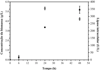 Figura 4  –  Lipase produzida por C. rugosa em meio de cultura sintético a 30 ºC e pH 6,5