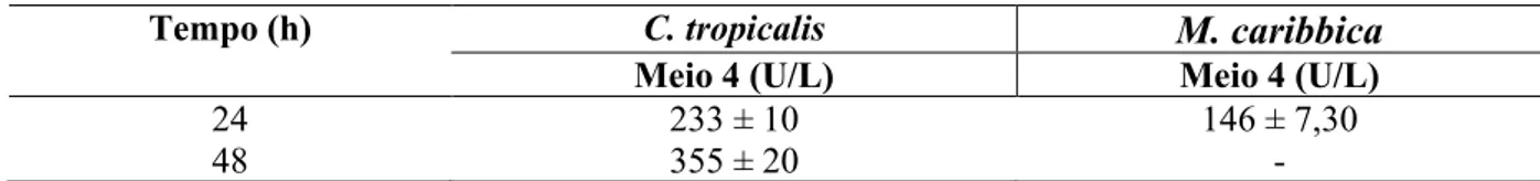 Tabela 12  –  Atividade enzimática extracelular para as leveduras C. tropicalis e M. caribbica  no meio 4 