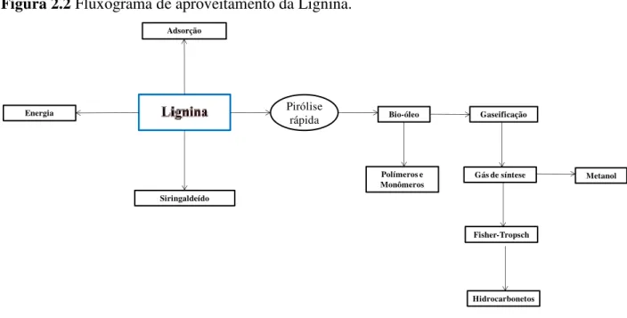 Figura 2.2 Fluxograma de aproveitamento da Lignina. 