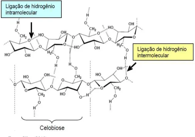 Figura  3  –   Representação  das  ligações  de  hidrogênio  intra  e  intermoleculares  na  estrutura da celulose 