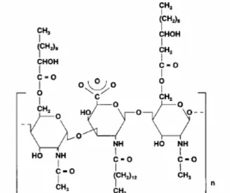 Figura 2.5: Estrutura química do biossurfactante Emulsan produzido por Acinetobacter  calcoaceticus