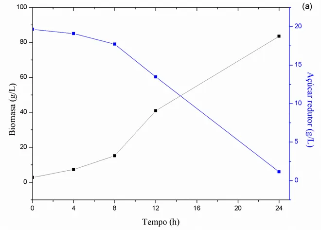 Figura  3  –  Influência  do  tempo  na  produção  de  biomassa  e  consumo  de  açúcares  redutores  em  (a)  pré-inóculo  e  inóculo  (b)  de  Aureobasidium  thailandense  em  caldo  YPD em shaker a 200 rpm e 28 °C