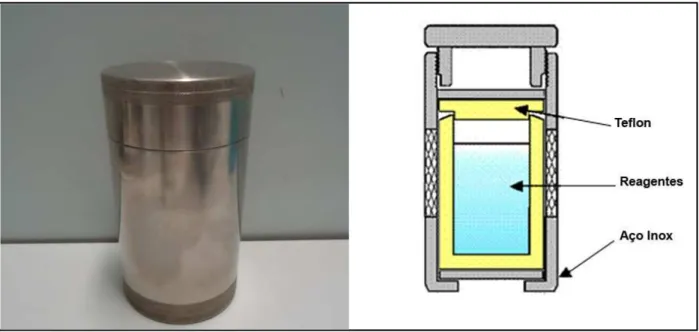 Figura 3.1 – Fotos da autoclave utilizada na síntese dos materiais. 