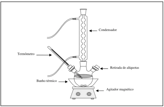 Figura 3.4 – Esquema do sistema reacional utilizado na reação de transesterificação. 
