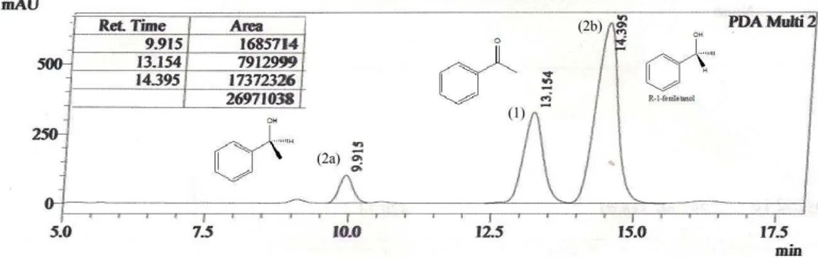 Figura 20. Cromatograma da reação de biorredução da acetofenona (1) com CLT após 72h. 