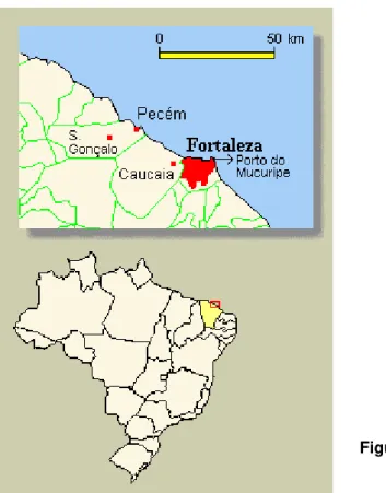 Figura 1 – Localização de Pecém