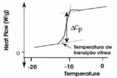 Figura  04  –   Representação  de  determinação  da  T g  em  gráficos  obtidos  por  DSC  (FONTE: 