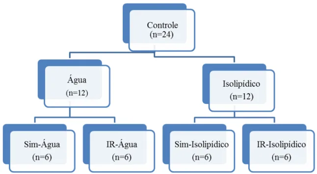 Figura 7 – Grupos Controle: Simulado-Água (Sim-Água) e Isquemia-Reperfusão - Água (IR-Água); Simulado- Simulado-Isolipídico (Sim-Simulado-Isolipídico) e Isquemia-Reperfusão - Simulado-Isolipídico (IR-Simulado-Isolipídico)