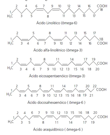 Figura 4. Estrutura dos ácidos graxos ômega-6 e 3.
