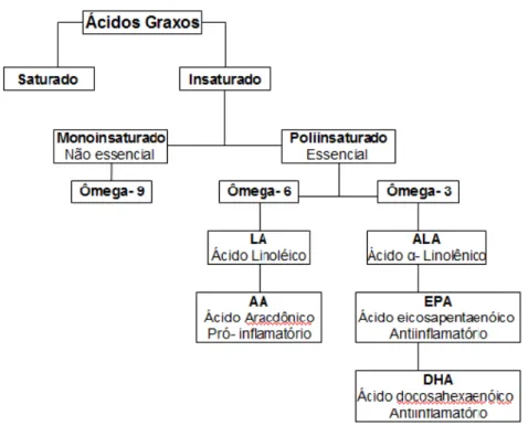 Figura 5. Classificação dos ácidos graxos, segundo a presença de dupla ligação.