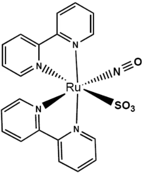 Figura  1:  Fórmula  estrutural  do  complexo  de  nitrosil  rutênio  (Cis-[Ru(bpy) 2 (SO 3 )(NO)]PF 6 )