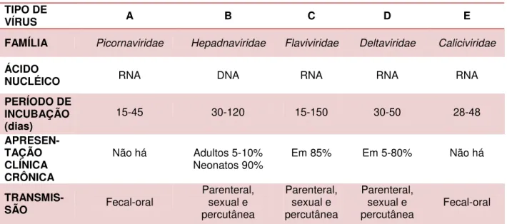 Tabela 1: Principais Características das Hepatites Virais.