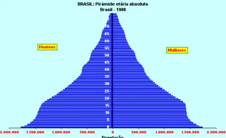 Figura 1.  Pirâmide etária brasileira em 1980  (FUNDAÇÃO IBGE) 
