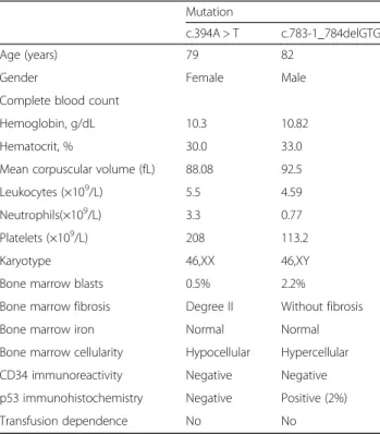 Fig. 1 Myelogram of patient 1. a Dyserythropoiesis; b dysmegakaryopoiesis; c reticulin stain