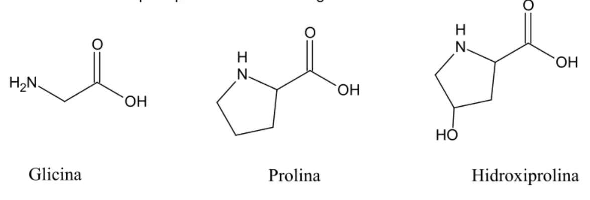 Figura 1 - Estrutura dos principais aminoácidos da gelatina 