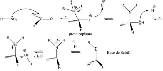Figura 5 – Formação de Base de Schiff a partir de uma amina e um aldeído (VOLLHARDT E  SCHORE, 2004).