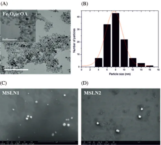 Figure 2. (A) TEM micrograph of Fe 3 O 4 @OA (inset: higher magnification); (B) histogram showing the particle size distribution of the Fe 3 O 4 @OA sample; 