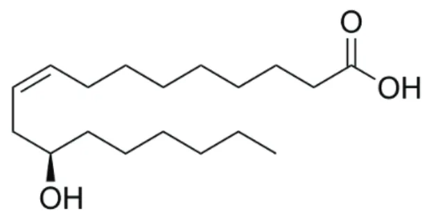 Figura 1 – Representação molecular do ácido ricinoleico 