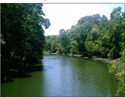 Figura - 2: Vista do Rio Cocó. 