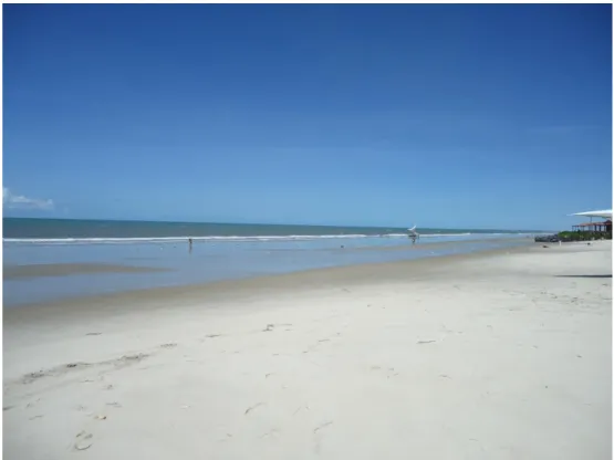 Figura 7 Visão geral da Praia de Canto Verde, município de Beberibe, litoral leste do estado do Ceará