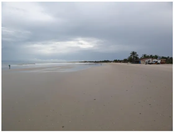Figura 15: Visão geral da Praia de Maceió, município de Camocim, litoral oeste do estado do Ceará