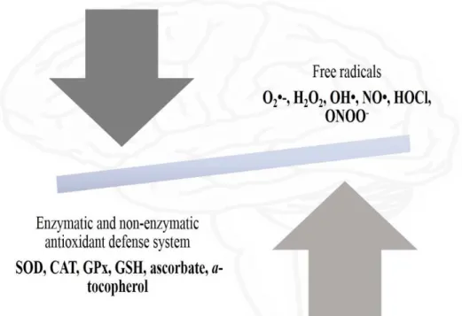 Figure  2.  Representation  of  ROS/RNS  in  cells  of  nervous  tissue  by  reduction  of  molecular oxygen to water in mitochondrial electron transport chain, which consists of  four multimeric complexes (I, II, III and IV) and two conveyors of electrons
