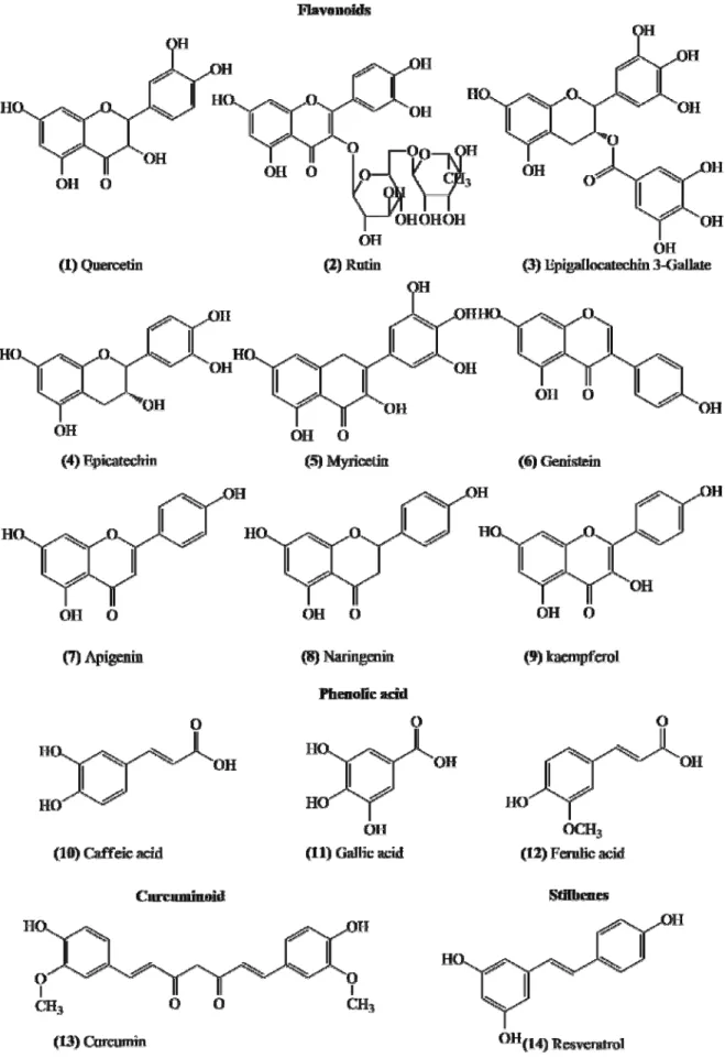Figure 7. Chemical structures of classes of phenolic compounds. 