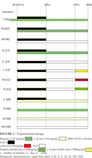 FIGURE 1 - Experimental design.