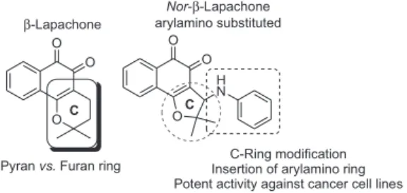 Table 2. Cytotoxicity of nor-β-lapachone and its semisynthetic derivatives  (1-10) in human leukemia cell lines after 72 h exposure
