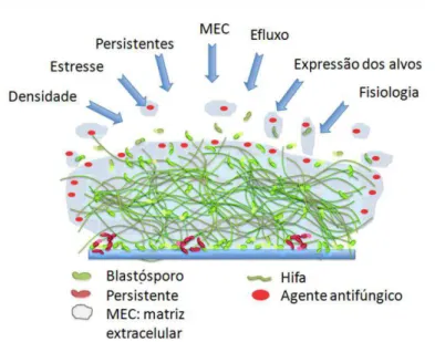 Figura  2  –  Esquema  ilustrando  a  visão  geral  dos  mecanismos  de  resistência  dos  biofilmes  fúngicos
